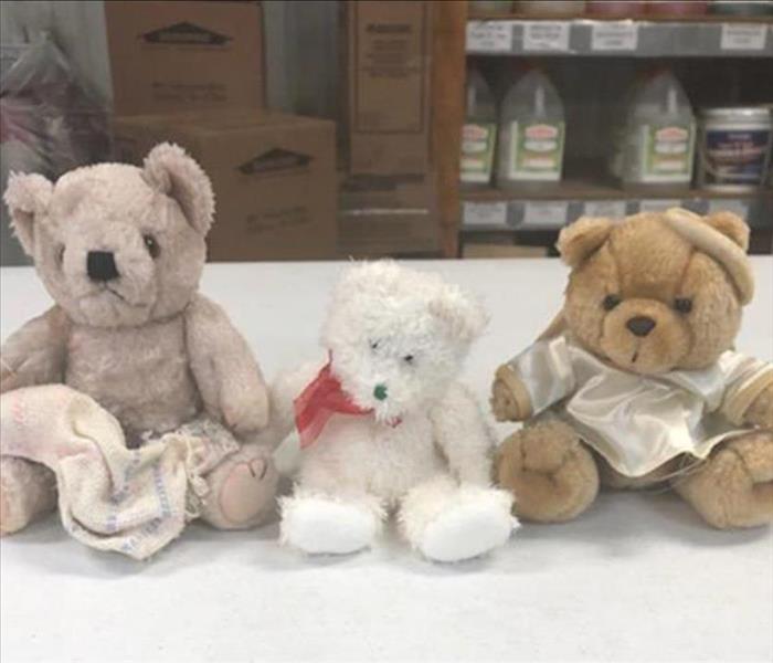 Cleaned and Restored Stuffed Animals